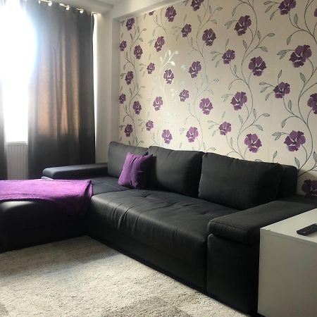 Vibe Apartament Appartement Piatra Neamţ Buitenkant foto